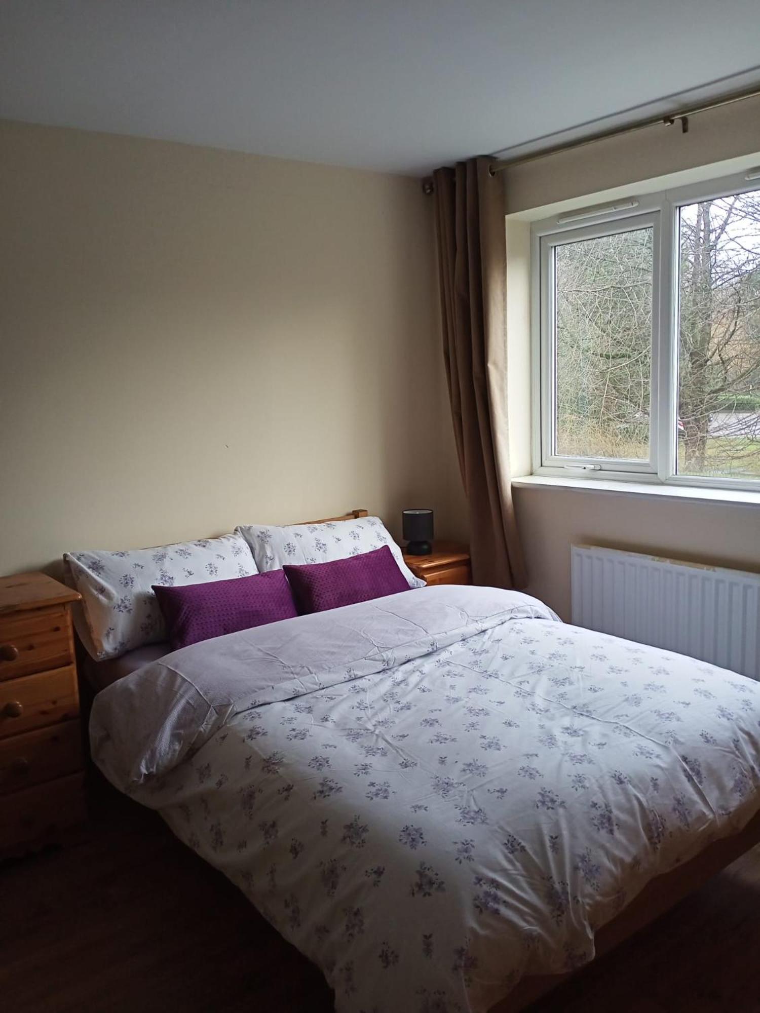 Highly Comfortable Apartment